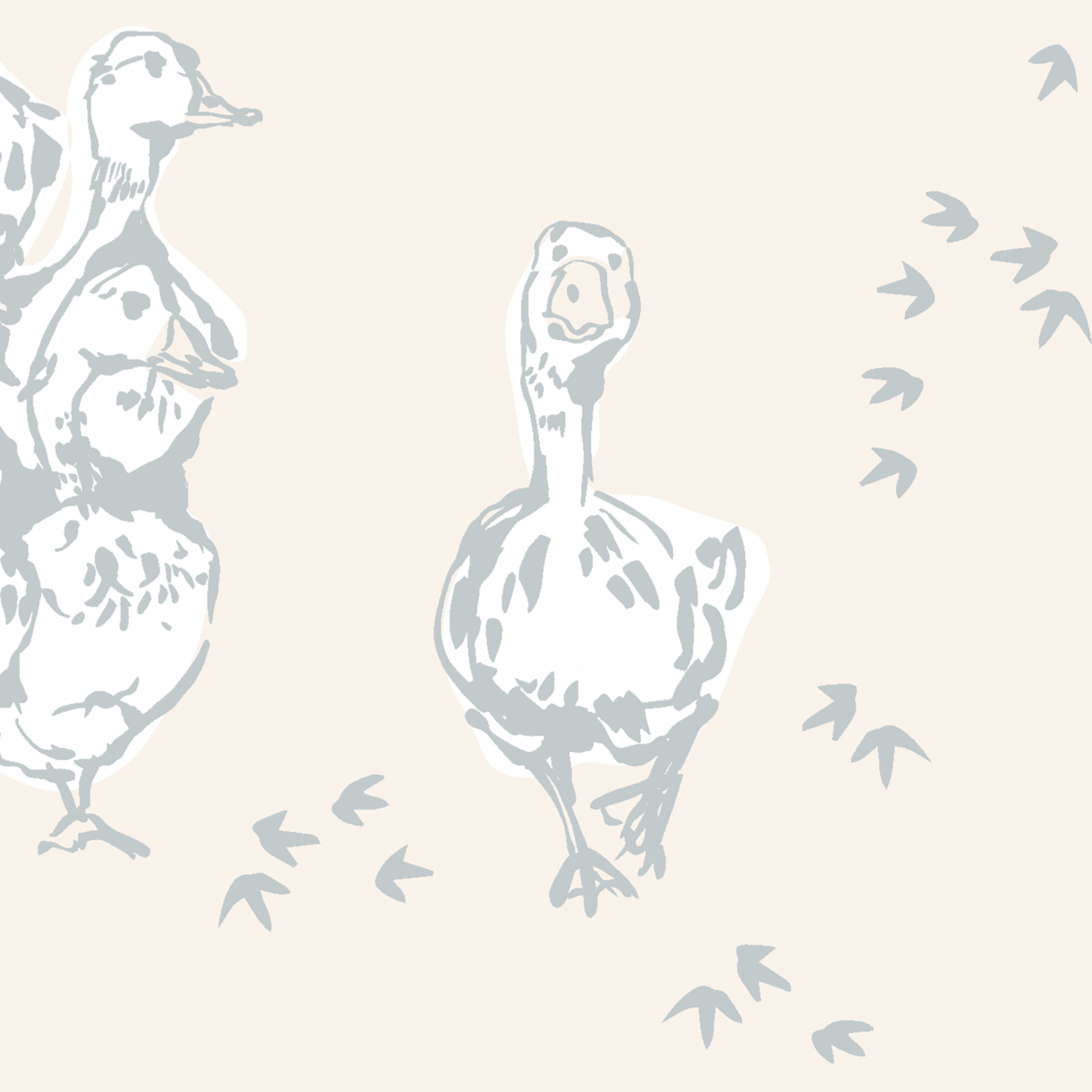 "Wall Blush's Abigail (Cream) Wallpaper featured in a stylish modern living room, showcasing elegant bird patterns."
