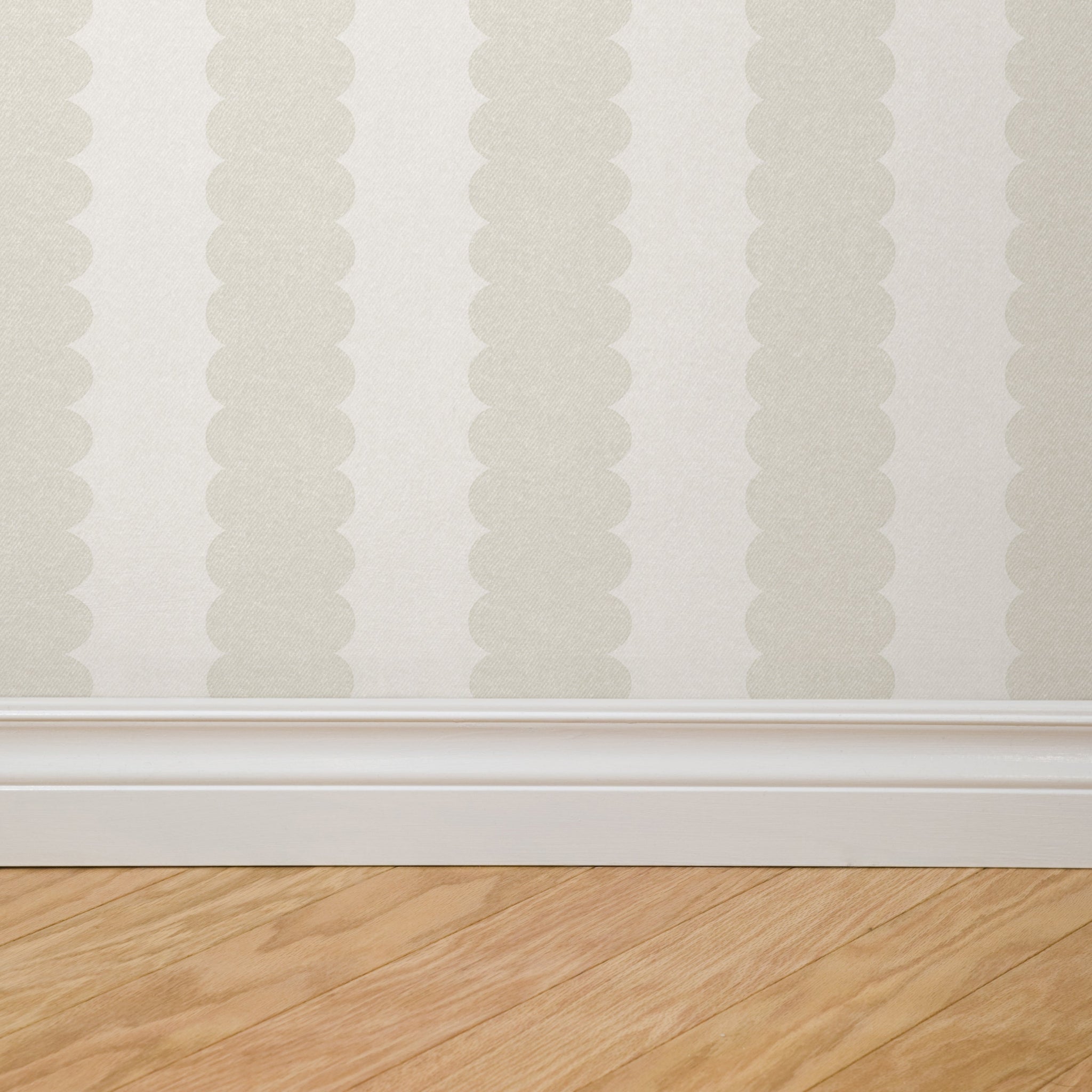 Teddy Scallop (Small) Wallpaper