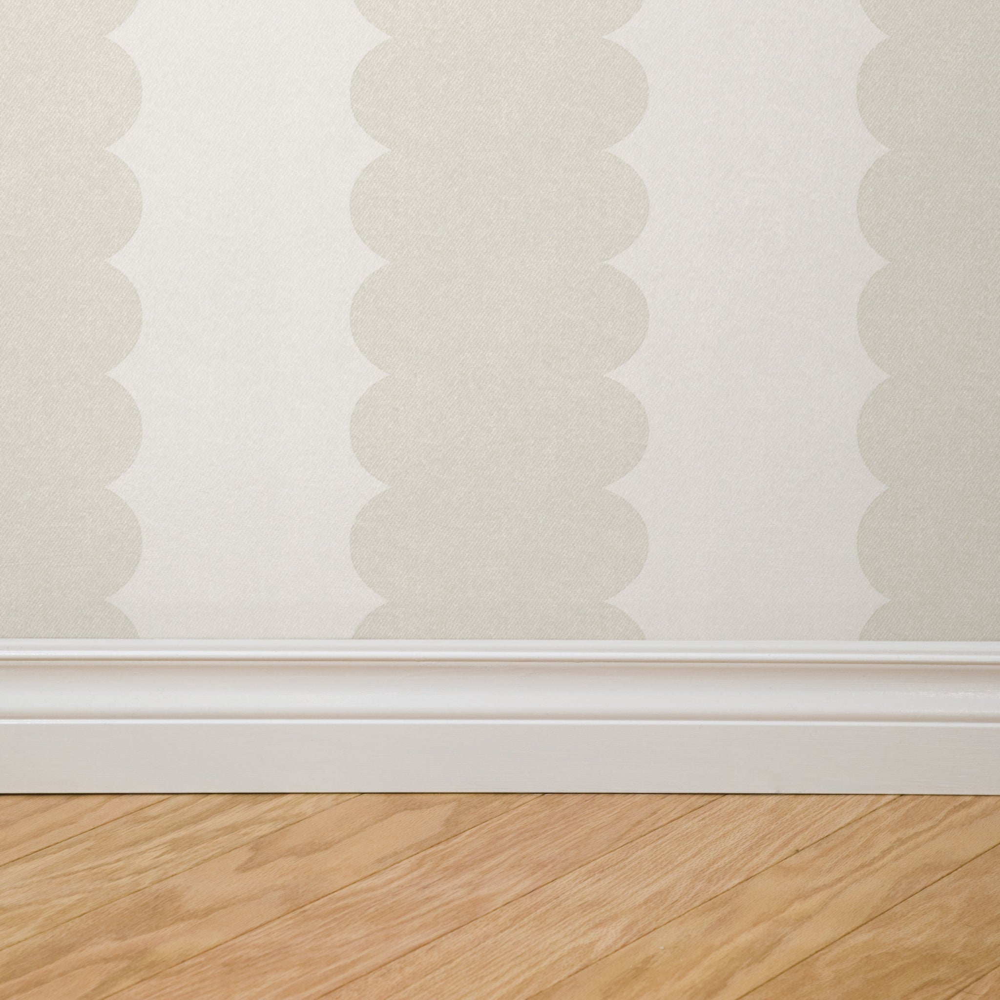 Teddy Scallop (Medium) Wallpaper