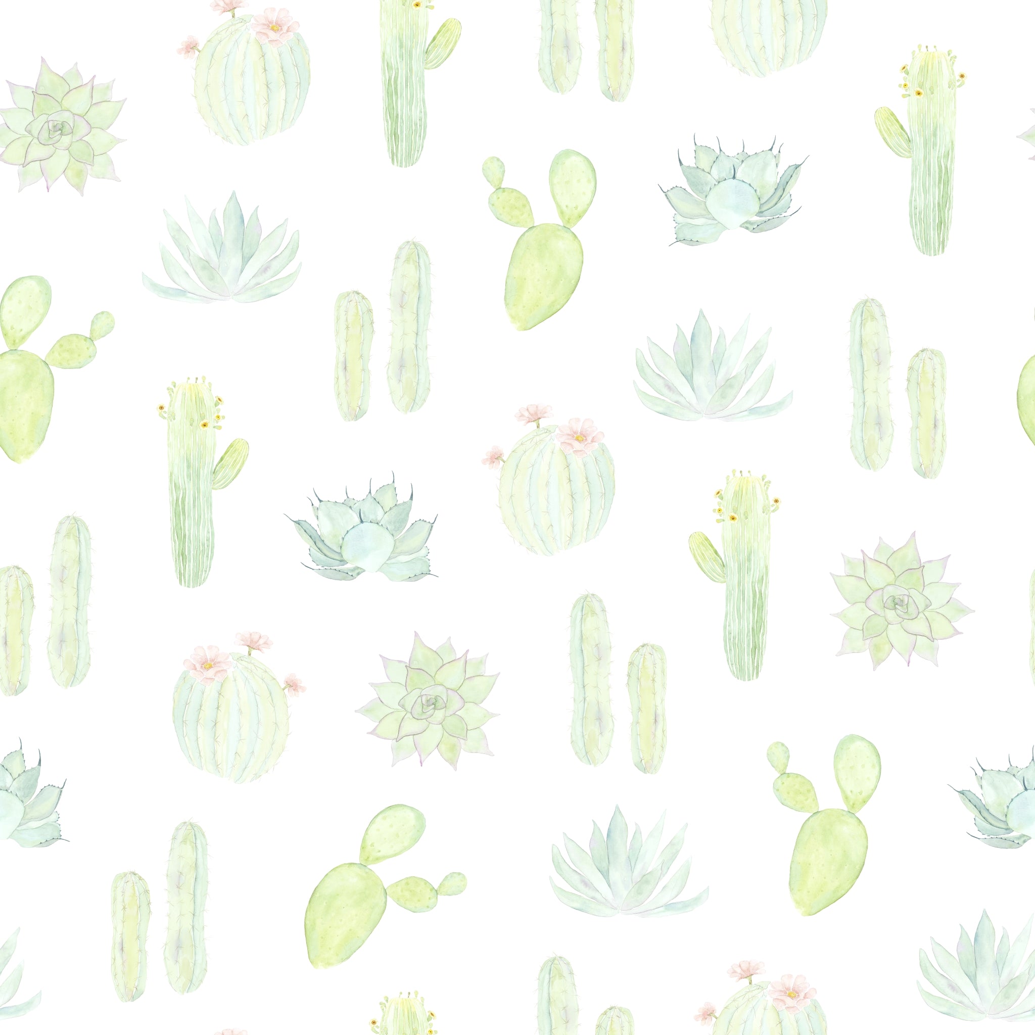 "Wall Blush's Petals and Prickles (Small) Wallpaper featuring cacti and succulents in a nursery setting."
Note: Since the image you've provided doesn't include a room, I've assumed a likely setting based on the wallpaper's design which appears suitable for a nursery or a children's room. If the actual room type was different, you would include that in the alt text instead.