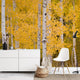 Aspen Wallpaper sample