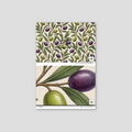 Sample of Cypress Wallpaper