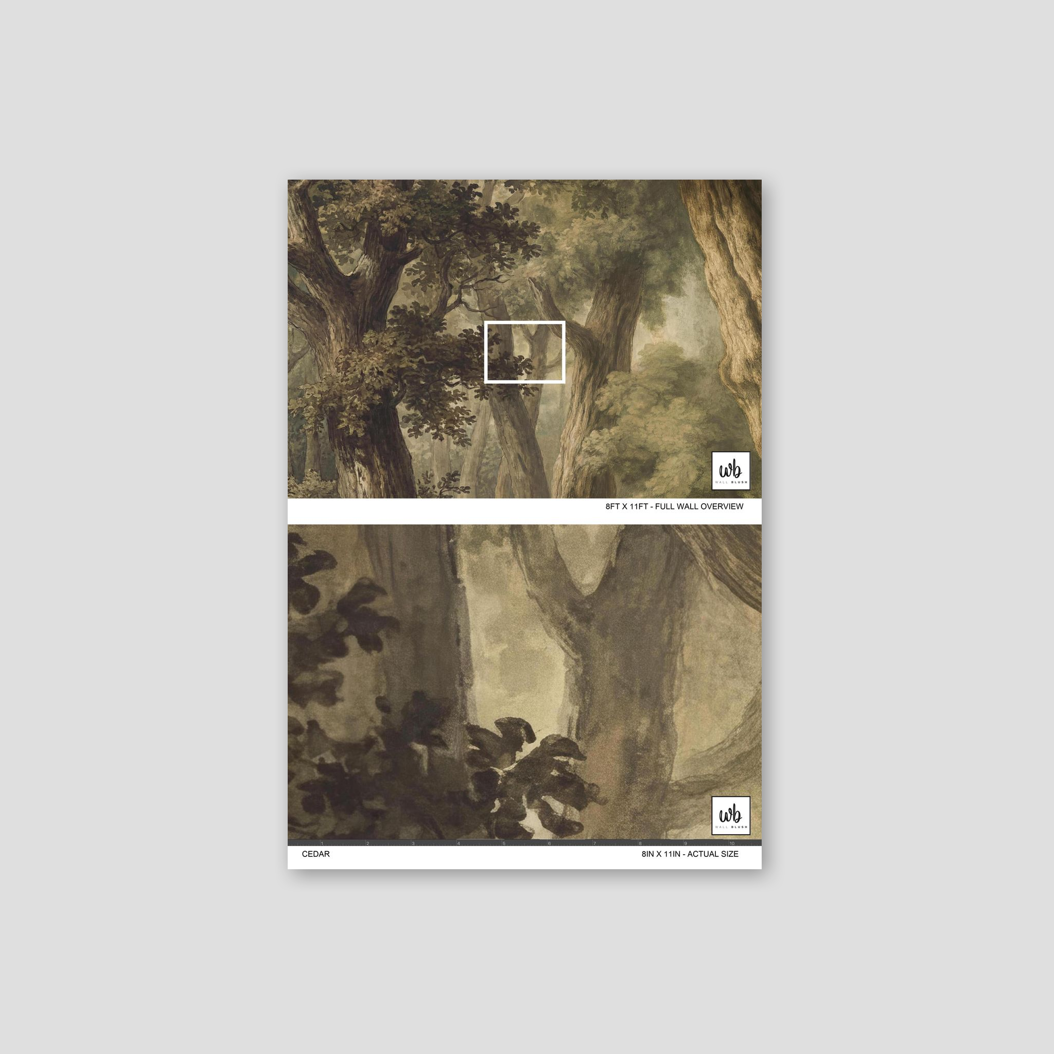 Cedar Wallpaper