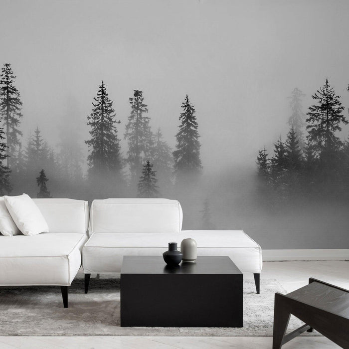 Black Pine - Black and White Foggy Pines Wallpaper