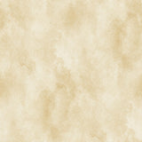 "Wall Blush Champagne Wallpaper demonstrating its elegant texture for a luxurious living room ambiance."

(Note: The image provided does not depict a room setting, so I’ve described the wallpaper itself and suggested a room type where it might typically be used, based on the product title and brand.)