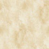 Champagne Wallpaper Wallpaper - Wall Blush SG02 from WALL BLUSH