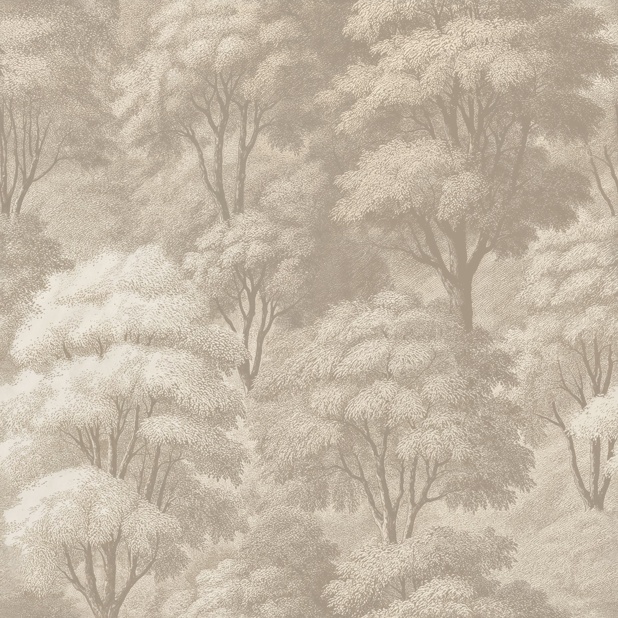 Elmira (Cream) Wallpaper