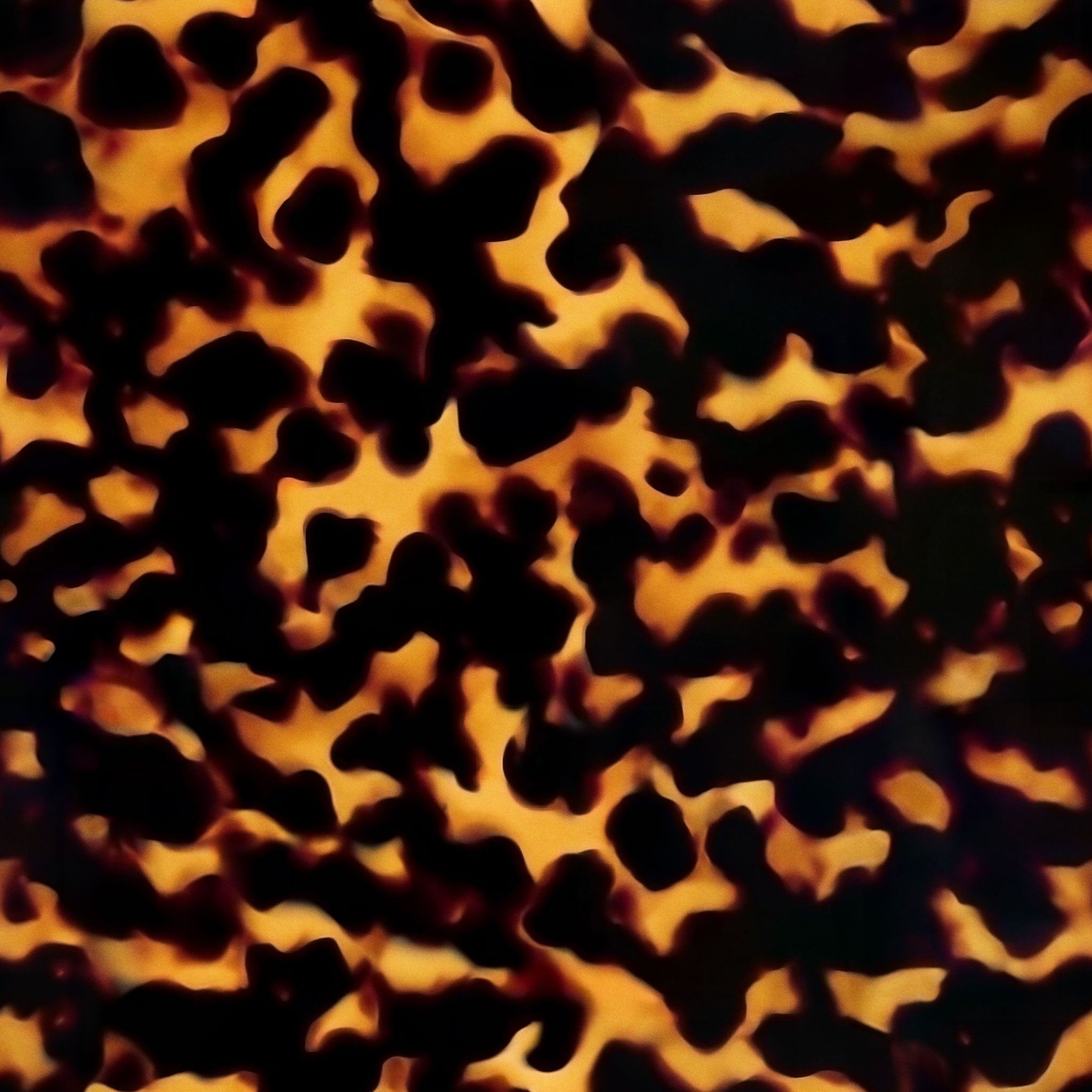 Tortoise Shell Wallpaper