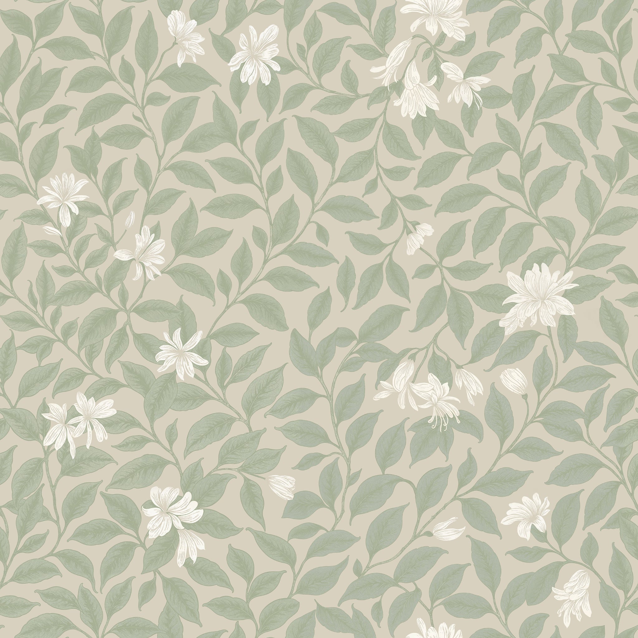 Poppy Honeysuckle Small (Cream) Wallpaper - 8 FT H X 18 FT W Traditional