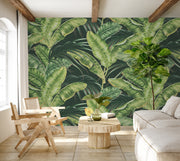 Sterlitzia Wallpaper