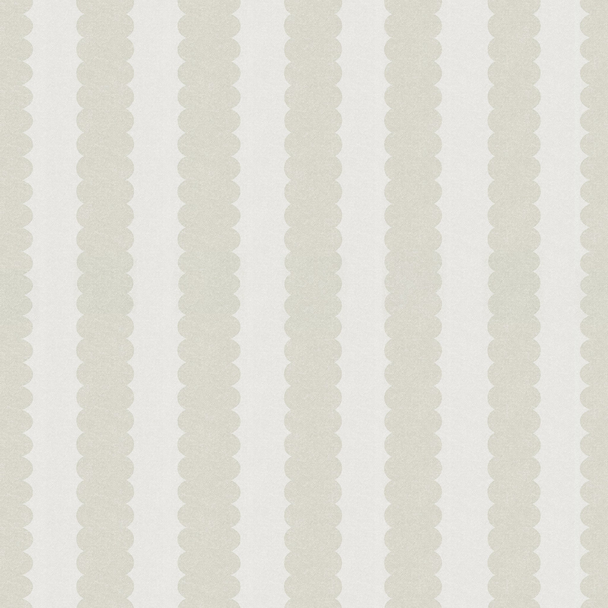 Teddy Scallop (Medium) Wallpaper