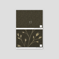 Sample of Ashwood Wallpaper