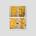 Sample of Aspen Wallpaper