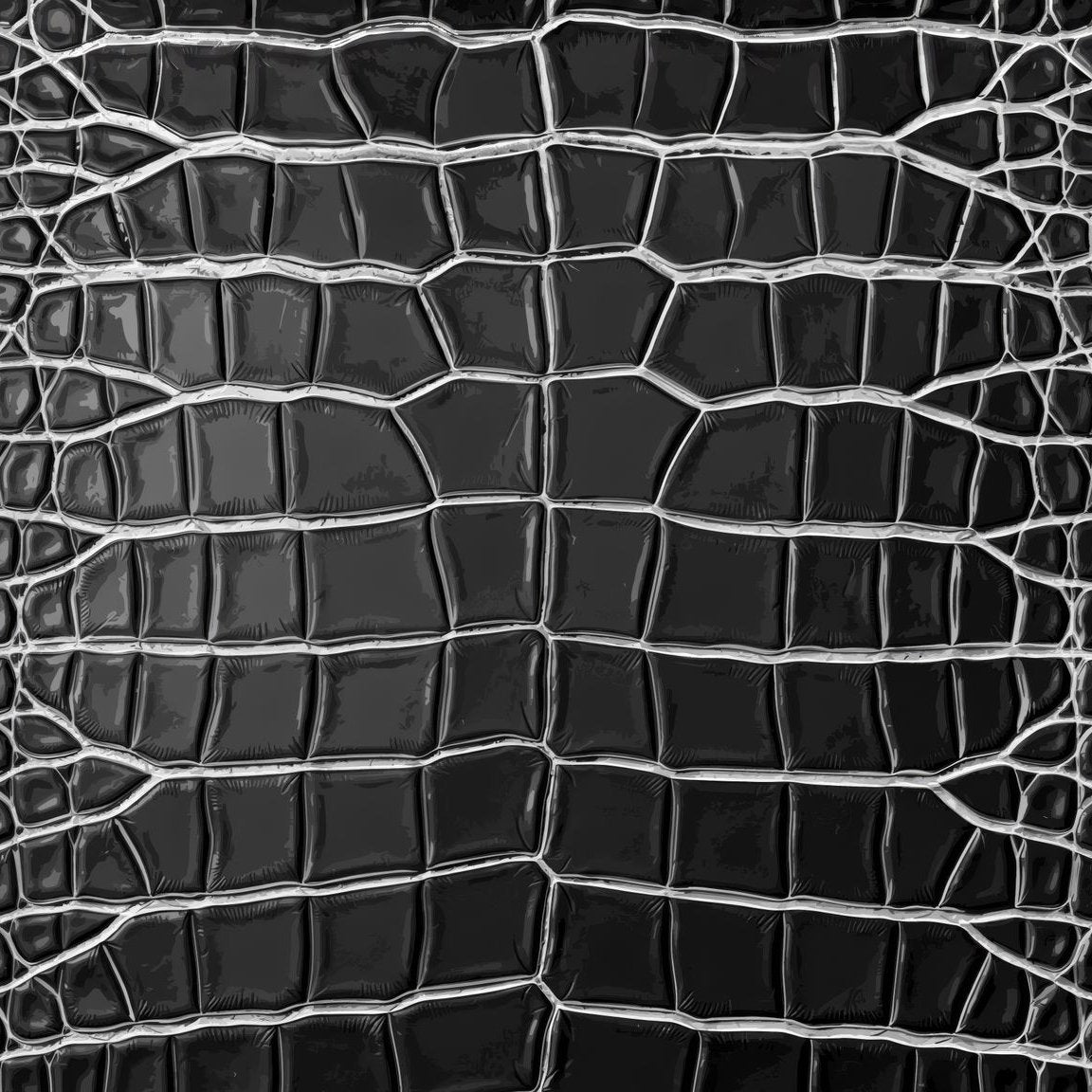 Black crocodile skin textured wallpaper with deep charcoal scales.