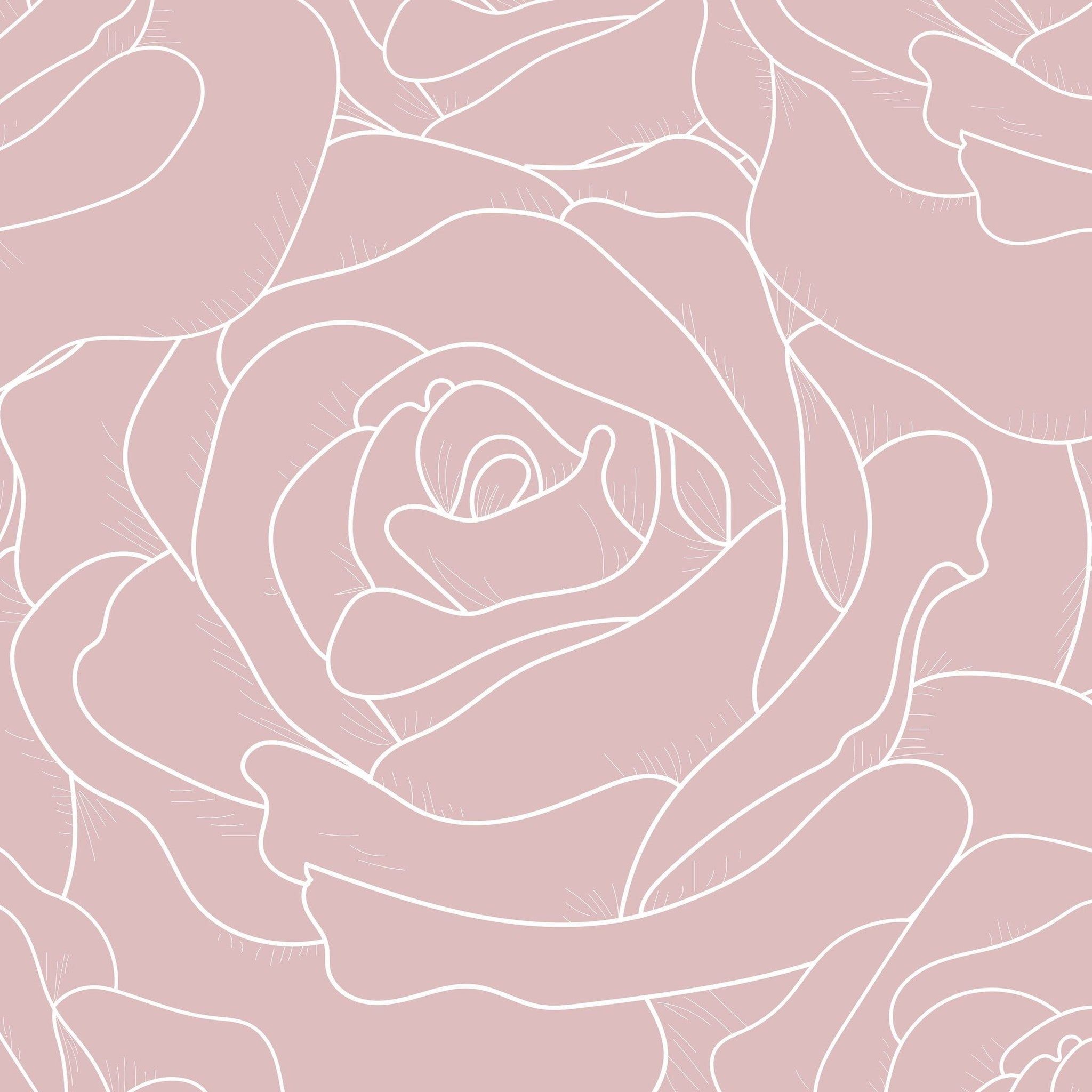 Blush pink line-drawn rose floral wallpaper pattern, elegant and romantic.