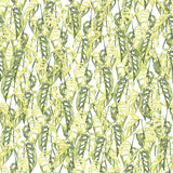 "Wall Blush Virdis Wallpaper featuring tropical leaf pattern in a bright, airy room setting."