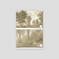 Sample of Misty Grove Wallpaper
