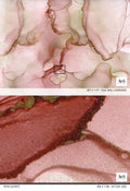 Sample of Rose Quartz Wallpaper