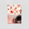 Sample of Poppies in Bloom Wallpaper