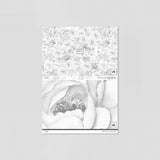 "Wall Blush Juliet Wallpaper sample showcasing floral design for elegant living room interior focus"