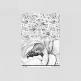 "Wall Blush's Juliet (Dark) Wallpaper sample, showcasing floral design for elegant home interiors."