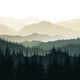 Roam Wallpaper - 12 FT H X 6 FT W Peel and Stick sample