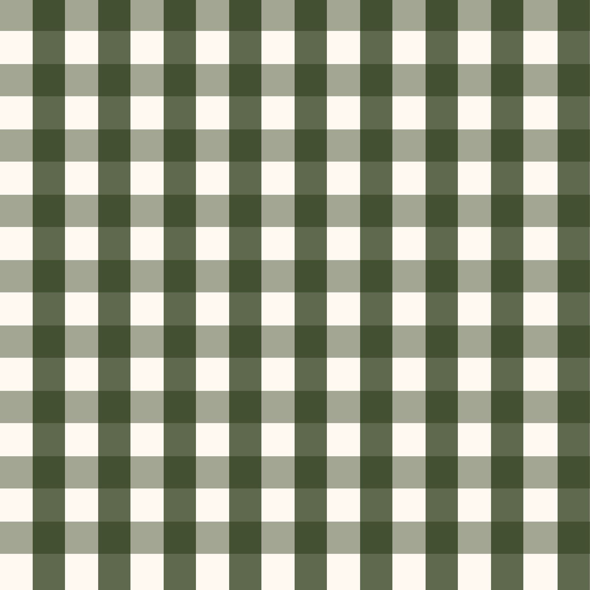 Willowside Gingham (Green) Wallpaper