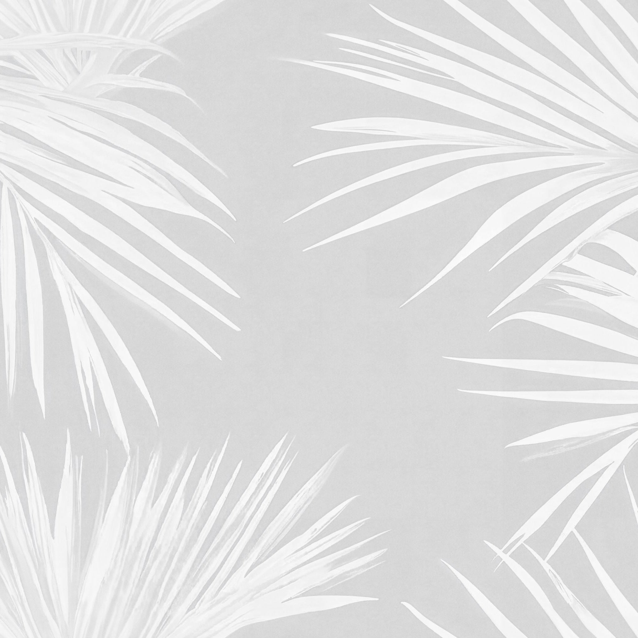Under the Palms Wallpaper