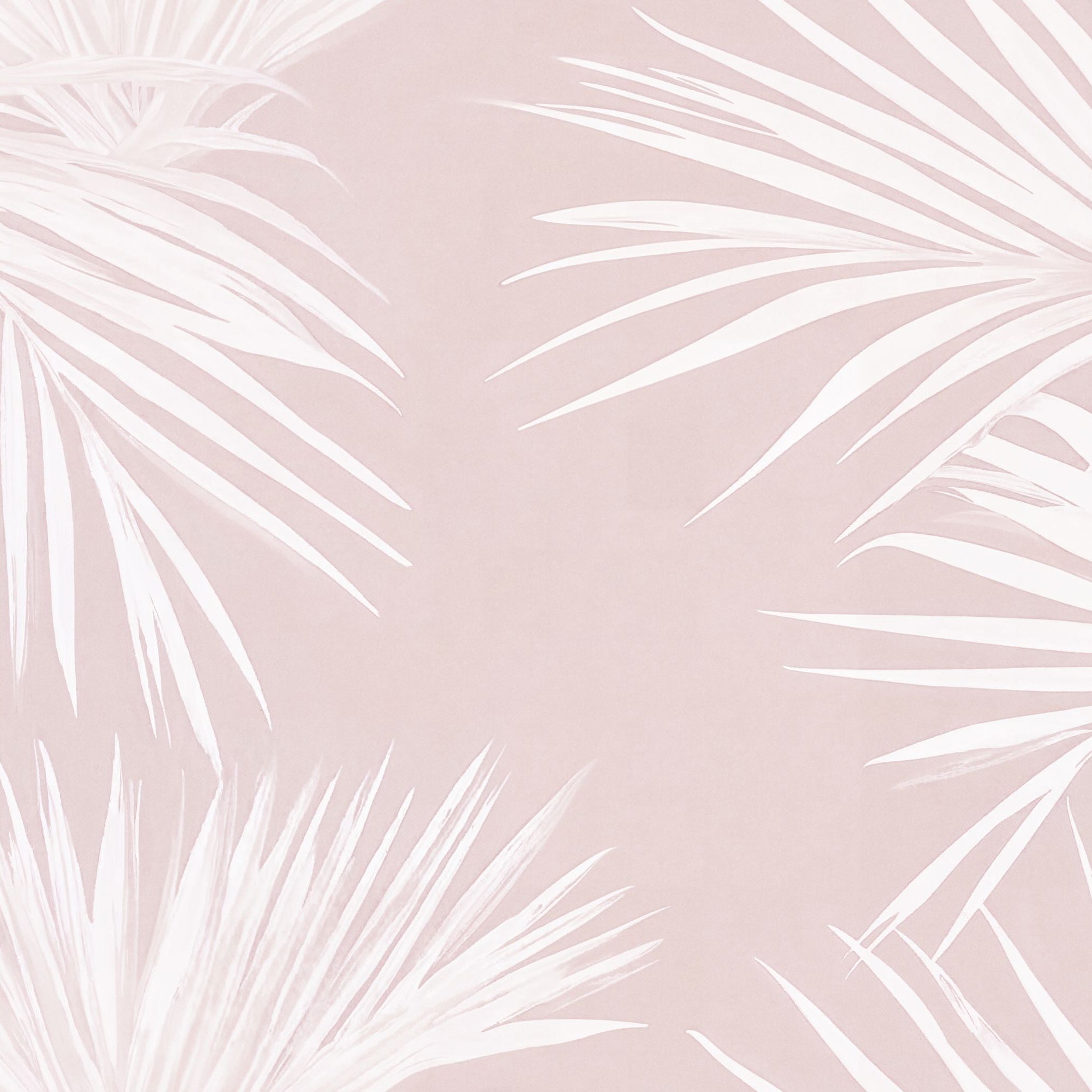 Under the Palms (Pink) Wallpaper