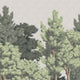 Central Park Wallpaper - 12 FT H X 8 FT W Luxe Peel and Stick sample