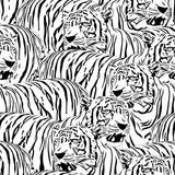 "Raja Wallpaper by Wall Blush featuring bold tiger design in a modern living space, highlighting the wall decor."