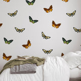 Flutter Wallpaper by Wall Blush SG02 in modern bedroom, focus on vibrant butterfly patterns on wall.
