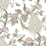 Hera (Pink) Wallpaper by Wall Blush SG02 featuring elegant peacock design in a bedroom setting.
