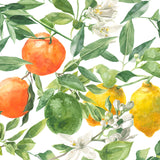 "Mediterranean Wallpaper by Wall Blush featuring citrus patterns on living room wall, bright and fresh design focus."