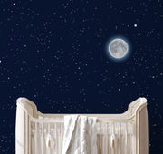 Moonlight Wallpaper
