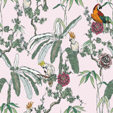 "Wall Blush Jewel Wallpaper featuring botanical and bird design in a living room setting, with a focus on the vibrant pattern."
