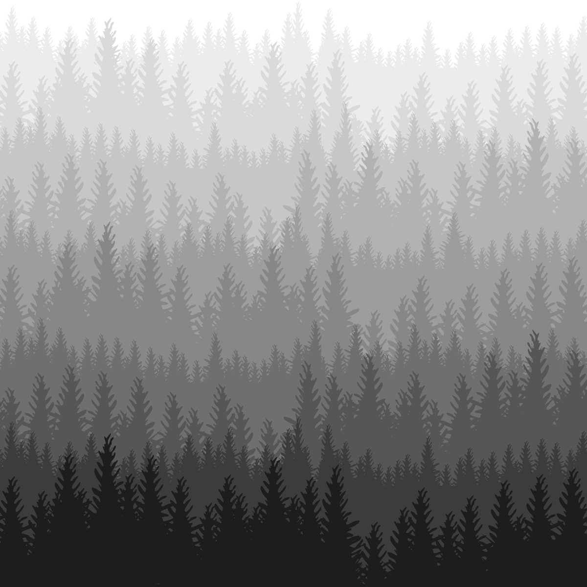 Woods Wallpaper wallpaper photo 4