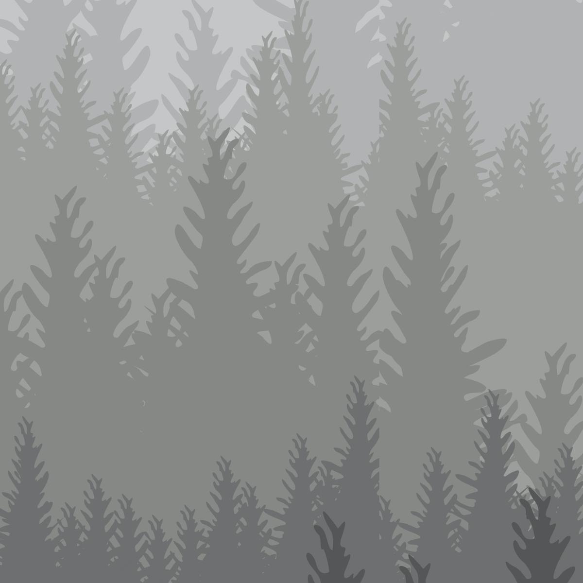 Woods Wallpaper wallpaper photo 5
