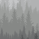 Woods Wallpaper by Wall Blush featuring a forest motif in a stylish living room setting, highlighting wall decor.
