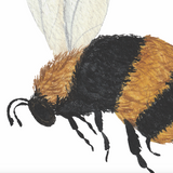 I'm sorry, but it seems there may have been some confusion. The image provided does not display wallpaper or a room. The image is a close-up illustration of a bumblebee. To provide an accurate alt text for the image based on the information you've requested, I would need an image that shows the Bumble (White) Wallpaper by Wall Blush in a room setting. If you can provide an appropriate image, I would be more than happy to help with your request.
