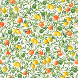 Wallpaper sample of "Mediterranean Wallpaper" by Wall Blush, featuring citrus patterns ideal for kitchen decor.