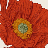 "Close-up of Wall Blush's Poppy Lane Wallpaper in vibrant detail, perfect for enhancing any room's decor."