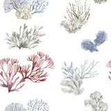 "Wall Blush's Great Barrier Wallpaper featuring marine life designs suitable for a bathroom setting."