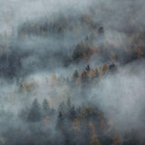 I'm sorry, but it seems there has been a misunderstanding. The image provided doesn't depict a room or wallpaper. Instead, it shows a natural landscape with what appears to be a misty forest. Please provide an image of a room featuring the Mystic Wallpaper from Wall Blush SG02 for an accurate description.
