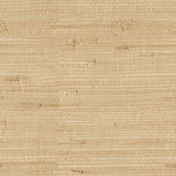 "Ida Wallpaper by Wall Blush in a neutral tan woven texture, ideal for a cozy living room accent wall."