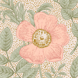 "Wall Blush Poppy Wallpaper featured in a warm, stylish bedroom, with a vintage floral design as the focal point."