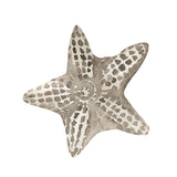 The image you have provided does not show a room or wall with wallpaper installed, rather it is a single graphic of a starfish. Therefore, given the content of the image and the required inclusion of the product title, brand, and the assumption of the wallpaper's intended use in a room, I would suggest the following alt text:

"Nautilus Wallpaper pattern close-up by Wall Blush, ideal for enhancing living spaces with a nautical theme."