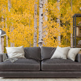 Wall Blush SG02 Aspen Wallpaper in a modern living room with cozy couch and bookshelf.
