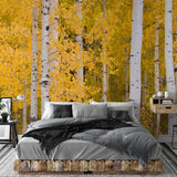 Wall Blush SG02 Aspen Wallpaper featuring a birch forest motif in a stylish bedroom setting.
