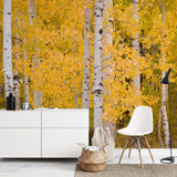 "Wall Blush Aspen Wallpaper adding autumn vibrancy to a modern living room decor."